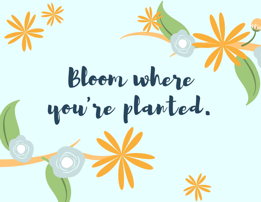 bloom where you're planted